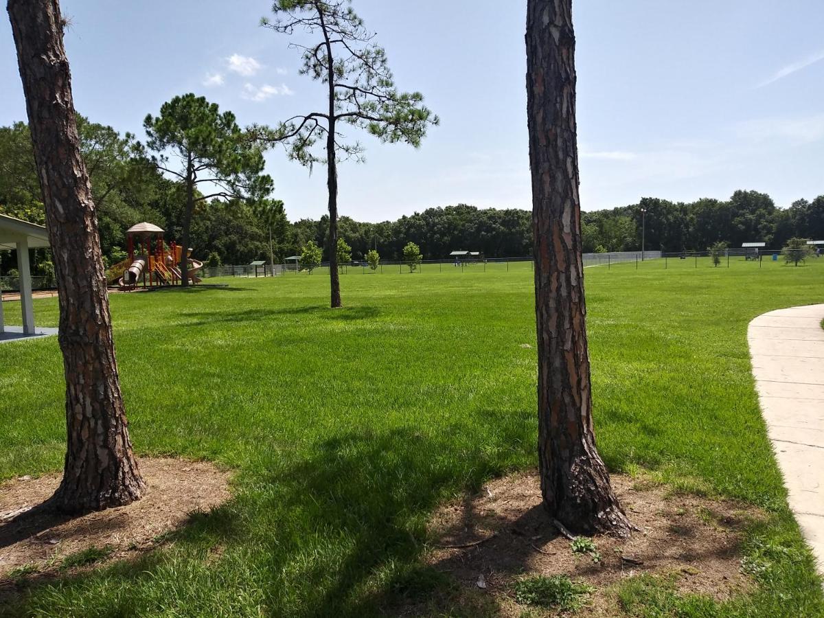 Tampa Citrus Park Apartman Kültér fotó