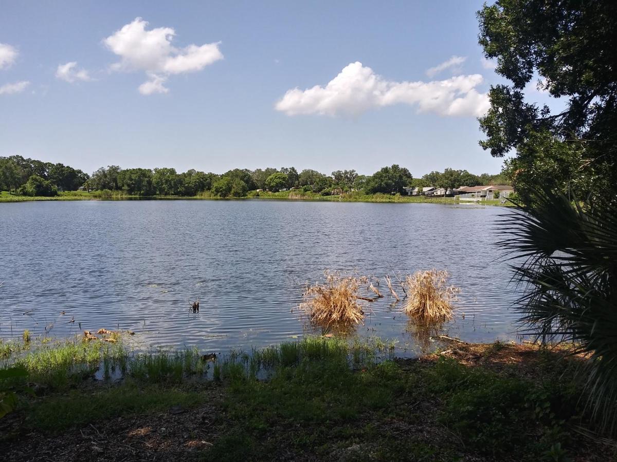 Tampa Citrus Park Apartman Kültér fotó